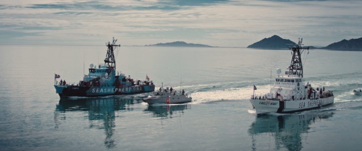 Sea Shepherd vessels and an interceptor ship of the Mexican navy