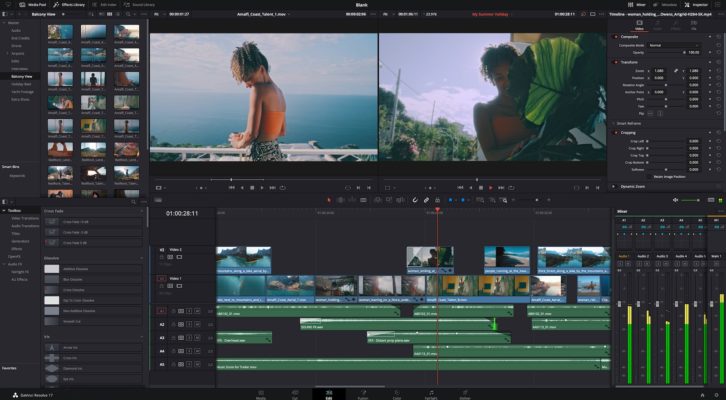 Blackmagic Design DaVinci Resolve 17.3