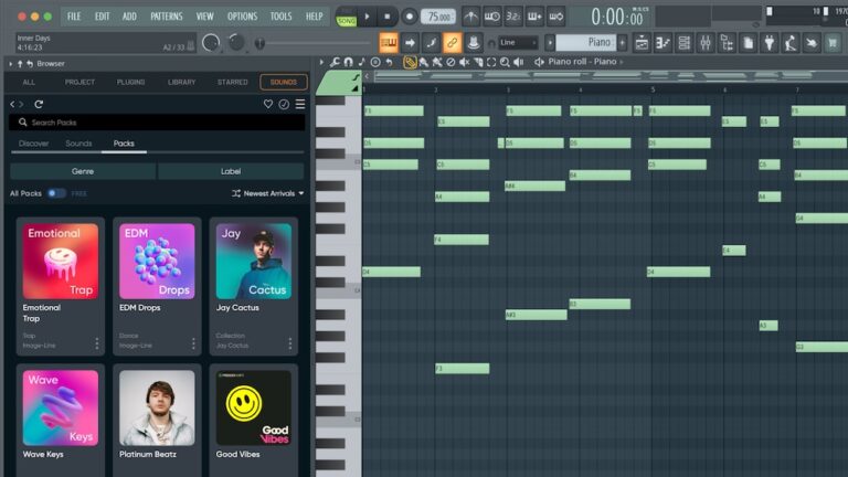 FL STUDIO 2024 2 2 LATEST RELEASE 5 FEB 2025 visual data 5
