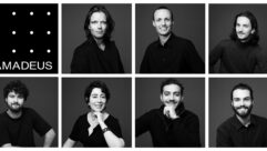 Amadeus Team