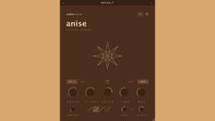 Audio Spices' Anise Glide Reverb plug-in.
